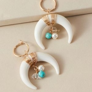 3/$25 Horn and turquoise earrings